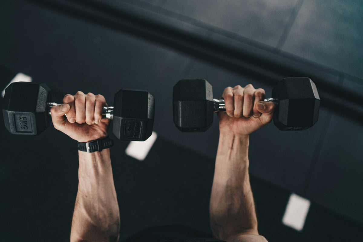 Muscle Is Longevity